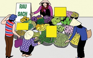 Nhà tôi 3 đời trồng rau sạch chuẩn organic