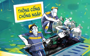 So sánh 'thông cống' và 'thông thầu'