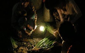 Có một chợ đêm giữa lòng châu thổ!