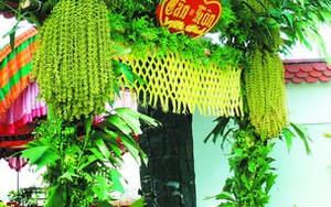 Tạp bút: Nhớ thương đủng đỉnh