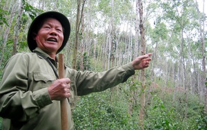 Ông "vùng 5"