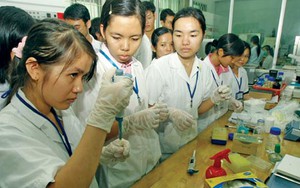 Đừng tắt những giấc mơ