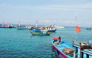 Cần thành lập lực lượng giám sát tài nguyên biển Việt Nam