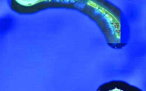 Vẻ đẹp của Hoàng Sa - một phần lãnh thổ Việt Nam