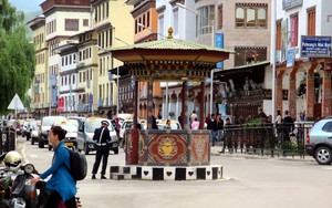 Môi trường là hạnh phúc
