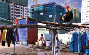 Những mảnh đời thợ