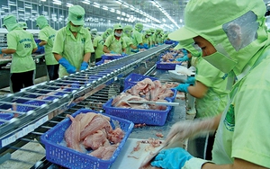 ​Hết khó ngoài, lại khó trong