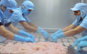 ​Cần biện pháp căn cơ