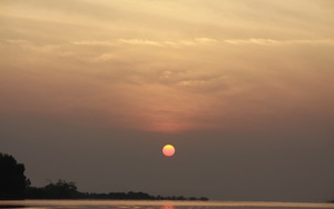 Vào rừng ngắm chim