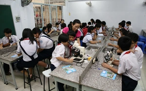 Được và mất của hai hệ thống giáo dục