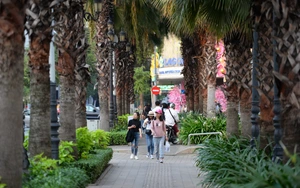 Trồng cây để thở 