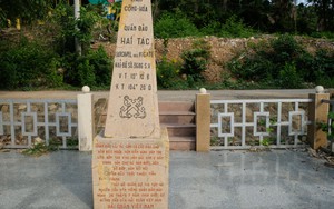 Ra đảo Hải Tặc làm… Robinson