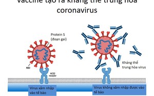 Tiếp tục giải bí ẩn “vaccine thần tốc”