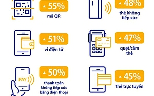 Tiểu luận: Về một cuộc đời bị đánh cắp