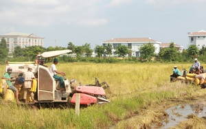 Truyện ngắn dự thi văn học tuổi 20: Tơ rơi