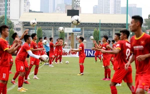 Hoa Đà Lạt trên... núi Cấm 