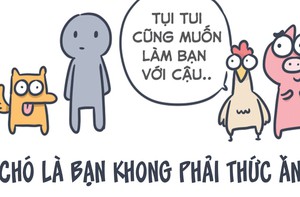Chó là bạn