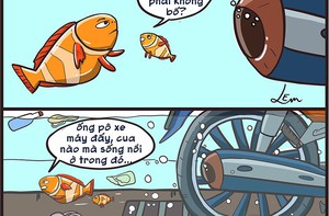 Bố con Nemo đi dạo trong triều cường