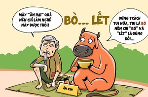 Cấp "bò lết" cho dân nghèo làm giống