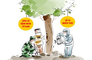 Trái ngọt cho những nỗ lực chống dịch hết mình