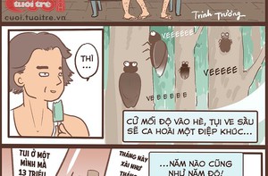 Ve sầu, mùa hè và con người