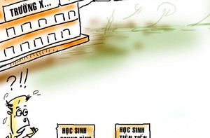 Một năm học thành công ngoài dự kiến