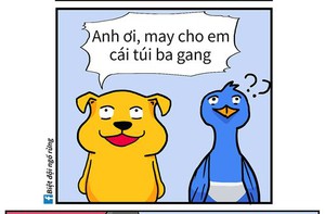 Ăn khế trả quá trời vàng, chim thần bị phá sản