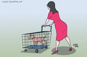 Xe đưa thú cưng đi dạo vừa tiện lợi vừa an toàn