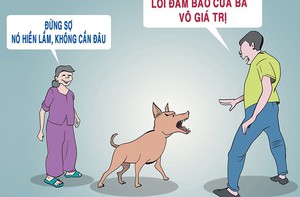 Cảnh giác với 'Nó không cắn đâu'