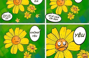 Mùa hoa dã quỳ đến rồi, tỏa sáng nào chị em ơi