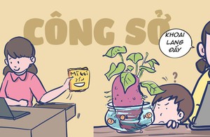 Dân văn phòng và những chuyện không tưởng nơi công sở