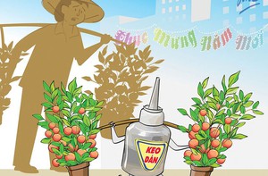 Nông dân keo dán sắt