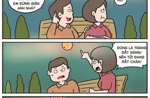 Đêm trăng sáng, chàng trai làm thơ xin lỗi nhưng bất thành