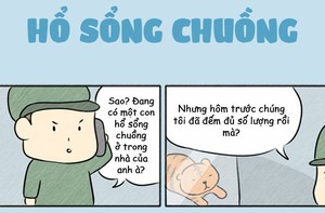 Một vụ hổ sổng chuồng