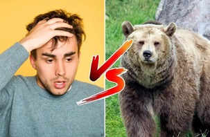 'Bạn sẽ chọn gặp gấu hay gặp đàn ông?'