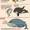 Infographic: Cá voi, gia tộc của những kỷ lục