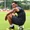 Arsenal 'hết tiền', sa thải 55 nhân viên nhưng vẫn chi lương khủng cho Ozil 'ngồi dự bị'