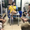 Khi sinh viên Học viện Âm nhạc đi học quân sự