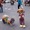 Chú chó Poodle đeo giỏ đi chợ giúp chủ