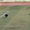 Cầu thủ lấy đà từ giữa sân sút penalty vẫn không vào