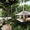 Chi Bảo 'tung' hình ảnh resort thông minh 120 héc-ta tại Côn Đảo