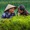 'Hai cụ già Việt Nam mãi yêu' vào top 50 giải ảnh quốc tế về tình yêu