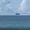 Tàu hàng cả ngàn tấn 'lơ lửng' trên mặt biển ở Trung Quốc