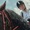 Bí kíp mới: Học cưỡi ngựa rèn dẻo dai, bền sức như Hồ Quang Hiếu