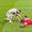 Khoảnh khắc Messi một mình chạy đến ôm thủ môn Emiliano Martinez