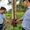 Kiểm điểm, xử lý vụ 'mất tích' 15 ha rừng trồng do Nhà nước đầu tư ở Bình Định