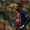 Mbappe mờ nhạt, PSG thảm bại trước Newcastle