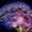 Cấy ghép điện cực giúp 5 người phục hồi sau chấn thương sọ não