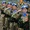 Nghiên cứu bổ sung chế độ cho quân nhân gìn giữ hòa bình Liên Hiệp Quốc
