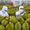 Trung Quốc tăng nhập nông thủy sản Việt, nông nghiệp thu hơn 38 tỉ USD xuất khẩu